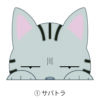 猫 イラスト ステッカー 見てまステッカー サバトラ猫 サバトラ 和猫 日本猫