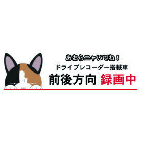 【三毛猫】 猫種別 ドラレコ録画中 ステッカー