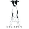 犬 イラスト ステッカー ウィペット ブラックホワイト