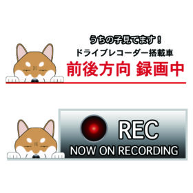 【柴犬】ドラレコ 犬種別 録画中 ステッカー