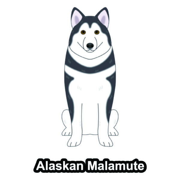犬 イラスト ステッカー アラスカンマラミュート