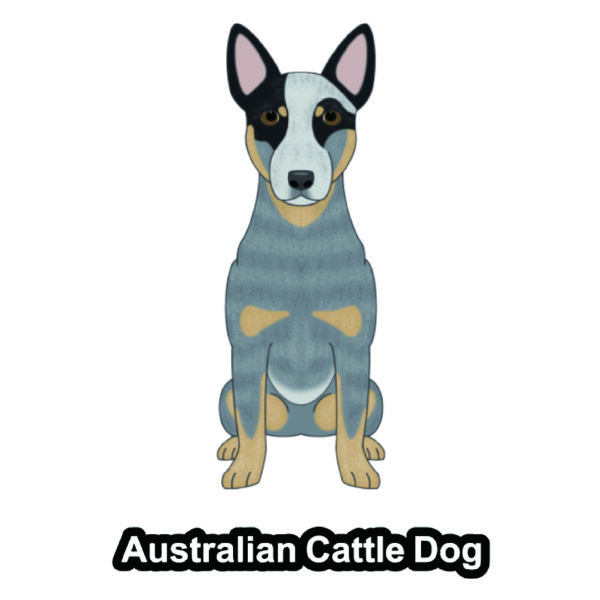 犬 イラスト ステッカー オーストラリアンキャトルドッグ