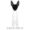 犬 イラスト ステッカー 日本テリア 立ち耳 ホワイトブラック