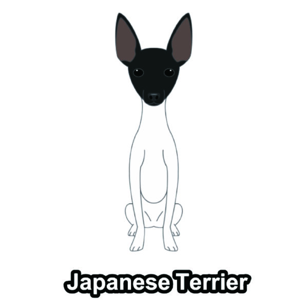 犬 イラスト ステッカー 日本テリア 立ち耳