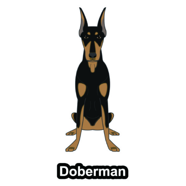 犬 イラスト ステッカー ドーベルマン 立ち耳