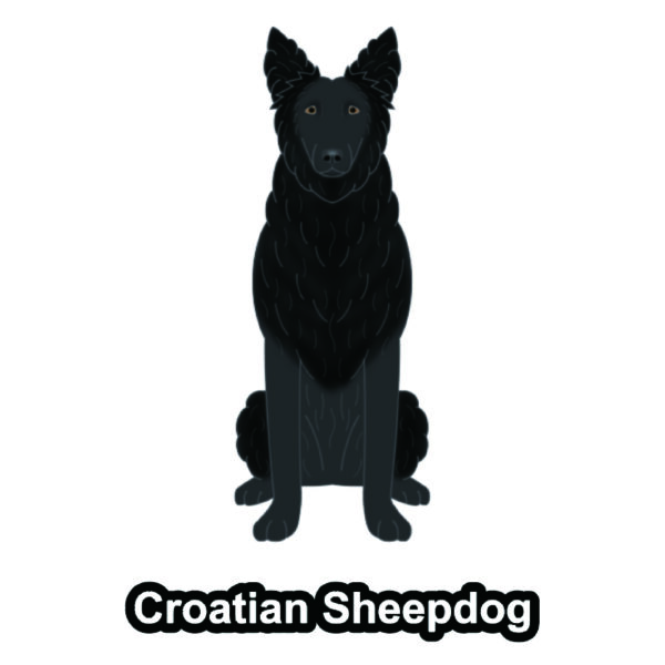 犬 イラスト ステッカー クロアチアンシープドッグ