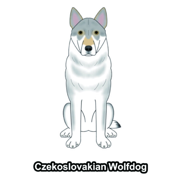 犬 イラスト ステッカー チェコスロバキアンウルフドッグ