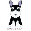 犬 イラスト ステッカー ミニチュアシュナウザー ファンシータイプ 立ち耳 ブラックシルバー