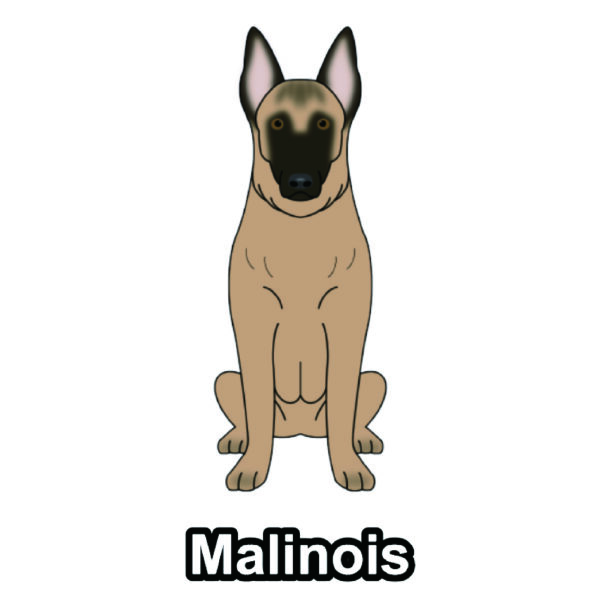 犬 イラスト ステッカー マリノア ベルジアンシェパードドッグマリノア