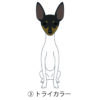 犬 イラスト ステッカー 日本テリア 立ち耳 トライカラー