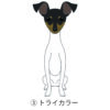 犬 イラスト ステッカー 日本テリア 折れ耳 たれ耳 トライカラー