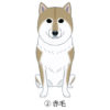 犬 イラスト ステッカー 北海道犬 アイヌ犬 赤毛