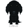 犬 イラスト ステッカー フラッティ フラットコーテッドレトリバー ブラック ファンシータイプ ブラック