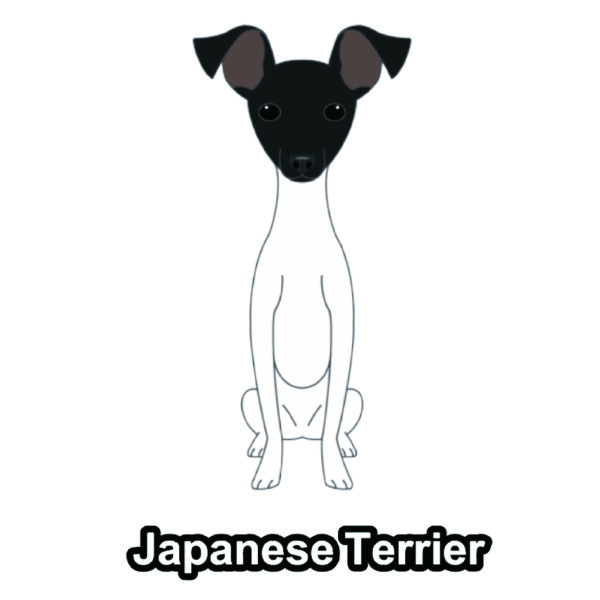 犬 イラスト ステッカー 日本テリア 折れ耳 たれ耳