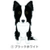 犬 イラスト ステッカー ボーダーコリー 立ち耳 レギュラータイプ ブラックホワイト