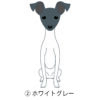 犬 イラスト ステッカー 日本テリア 折れ耳 たれ耳 ホワイトグレー